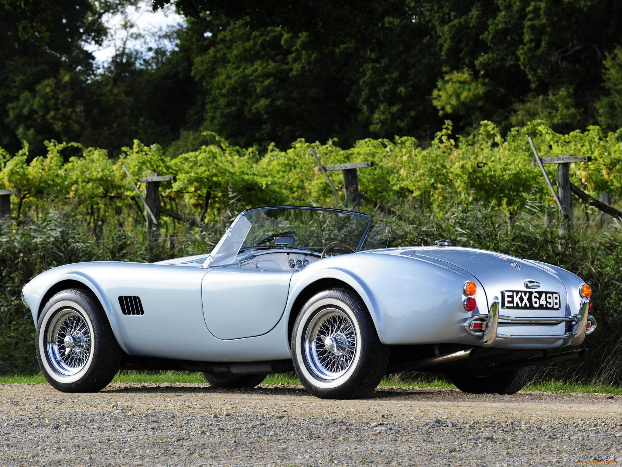 Shelby Cobra 289 1963 Roadster